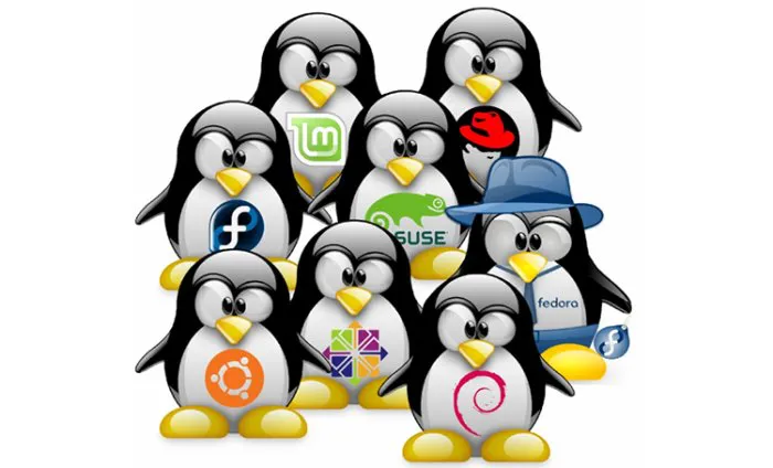 《五步轻松实现linux免密登录》