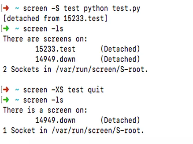 screen session外关闭session会话