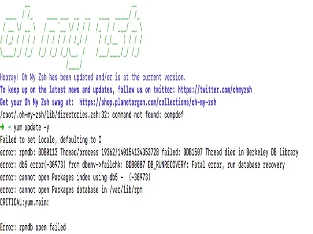 Yum Update Error 'rpmdb', Insufficient Space